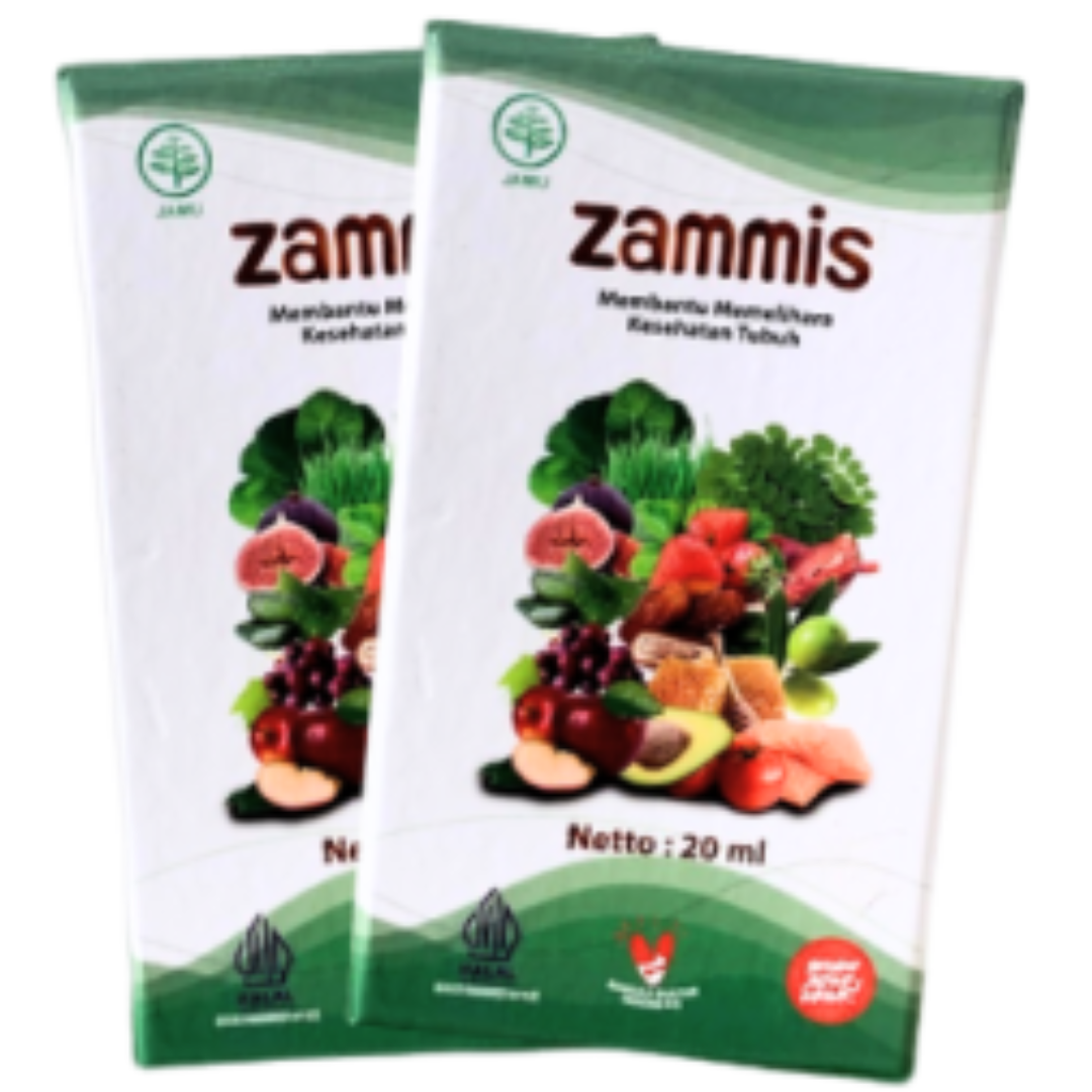 Zamis